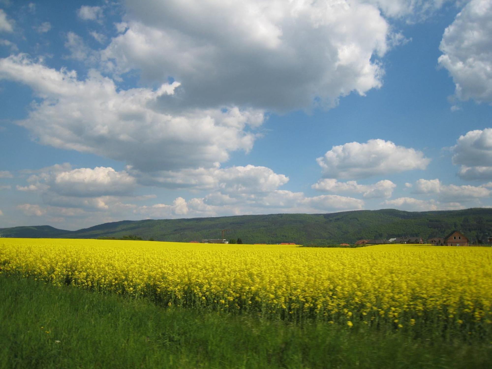 Penzion Speller Vysoky Ujezd (Beroun) Exterior foto
